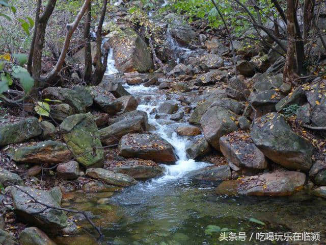 魅力河南中原行：走进南阳桐柏山