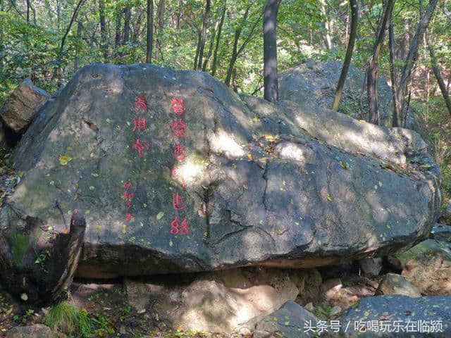 魅力河南中原行：走进南阳桐柏山