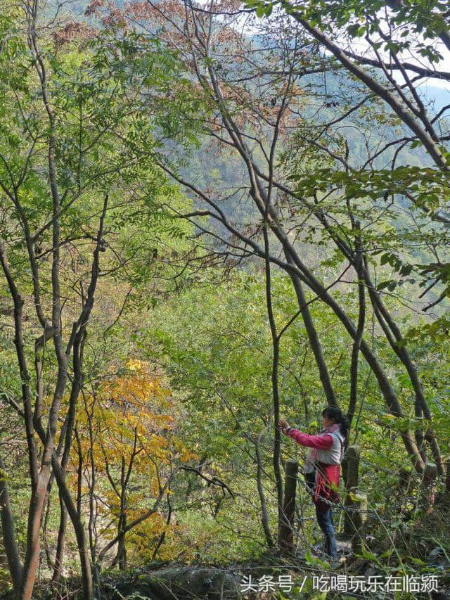 魅力河南中原行：走进南阳桐柏山