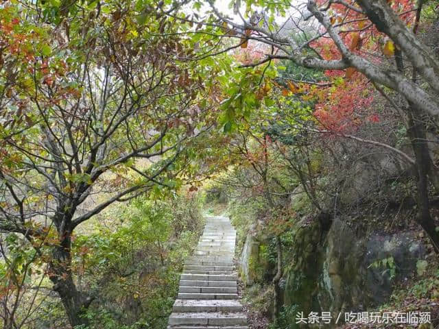 魅力河南中原行：走进南阳桐柏山