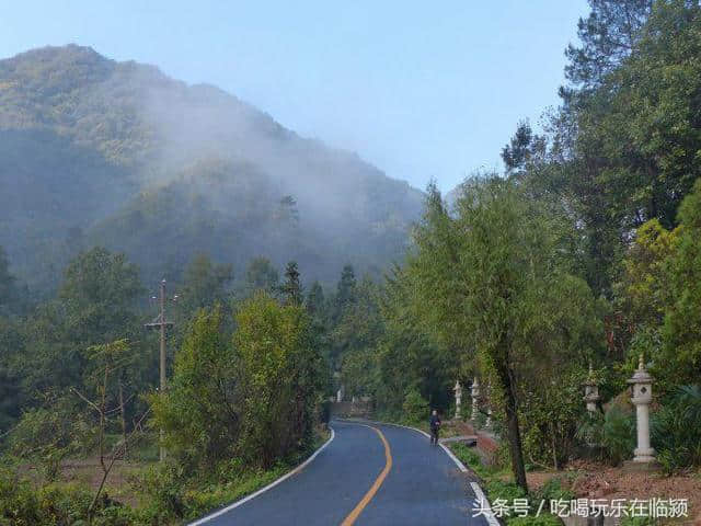 魅力河南中原行：走进南阳桐柏山