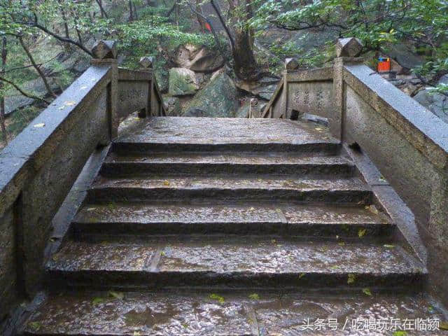 魅力河南中原行：走进南阳桐柏山