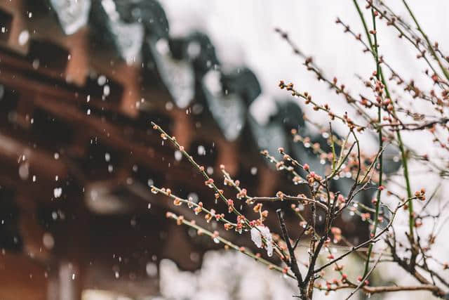 晚来天欲雪，能饮一杯无？赏雪狂人白居易教你正确的“约会”姿势