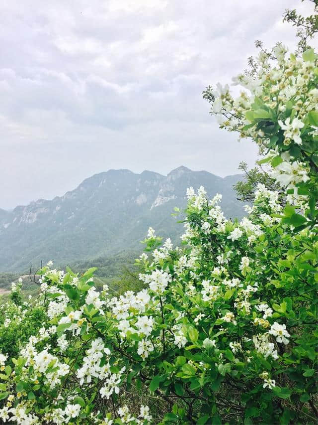 桐柏山，我的不羁狂欢！