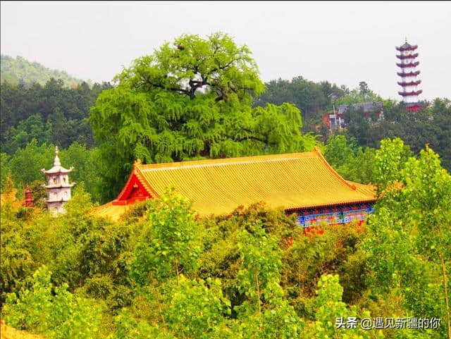 人生旅途：想起故乡的桐柏山，白云禅诗传颂着文化经典