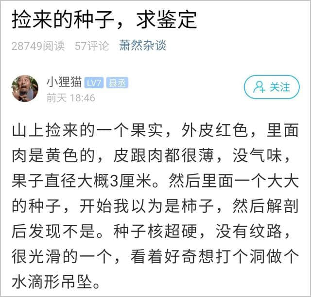 原来这就是“铁树开花”！杭州小伙在山上捡到一个果实，很多人没见过