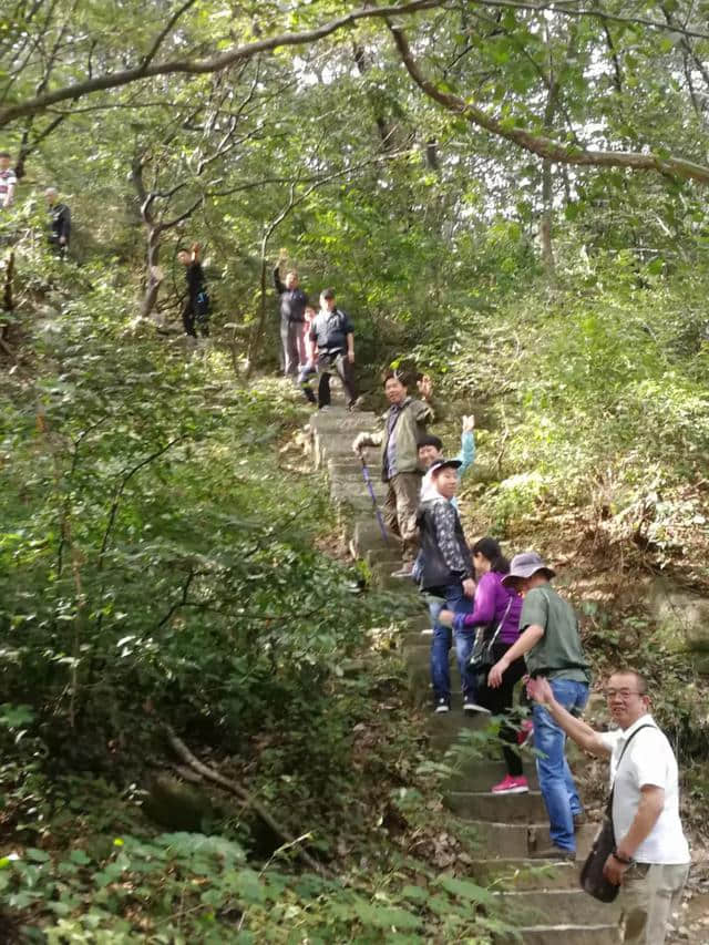 豫见桐柏山，溯源大淮河