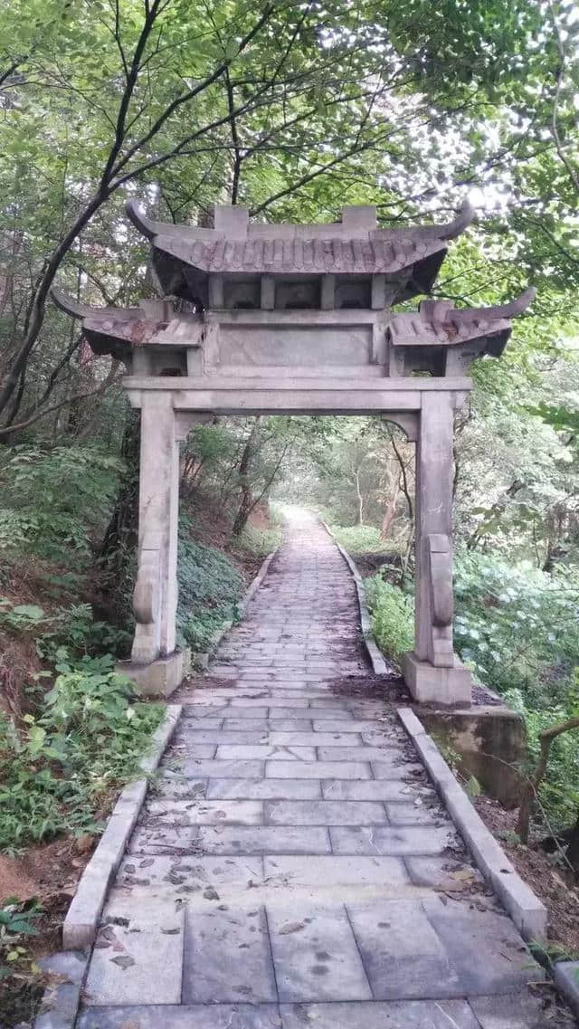 豫见桐柏山，溯源大淮河