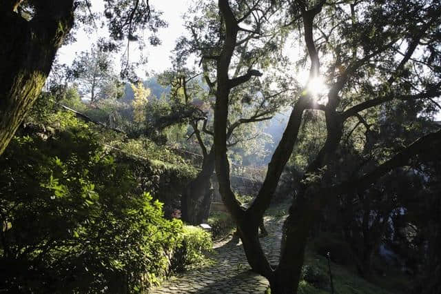 飘若游云，矫若惊龙，泼墨挥毫话绍兴——研学之旅二三记