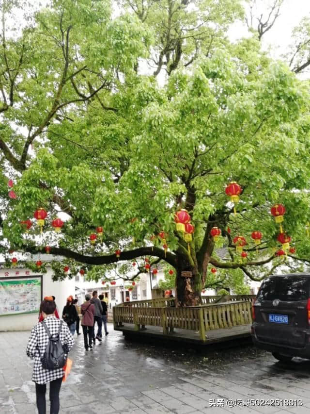 一个灿烂的古村落曾经有过的光辉岁月，如今这里成了爱国教育基地