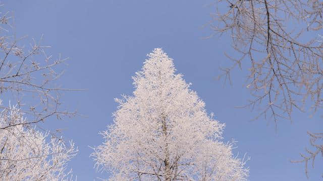 冬季莫干山徒步赏雪攻略