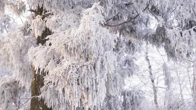 冬季莫干山徒步赏雪攻略