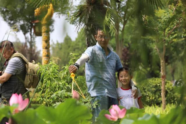 荷花仙子风姿翩翩的开封铁塔公园，孩子们也非常喜欢