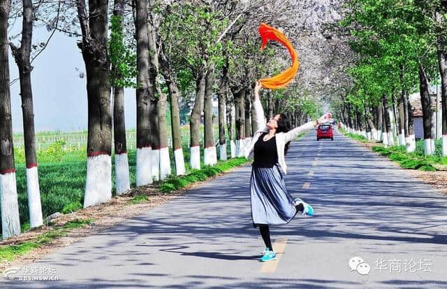 陕西论坛｜十里桐花十里飘香，长安的乡间小路这样的美！