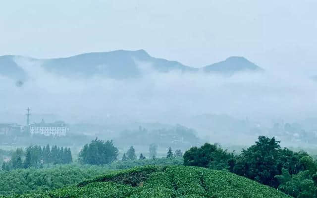 莫干山——宁静山野间的冒险乐园