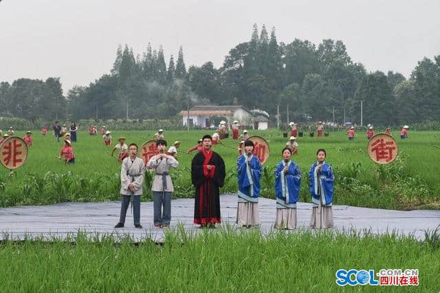 流沙河等十位诗人入选“我最喜欢的田园诗人”