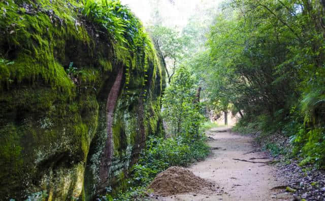 武夷山风景区之天游峰，青山绿水秀美险峻