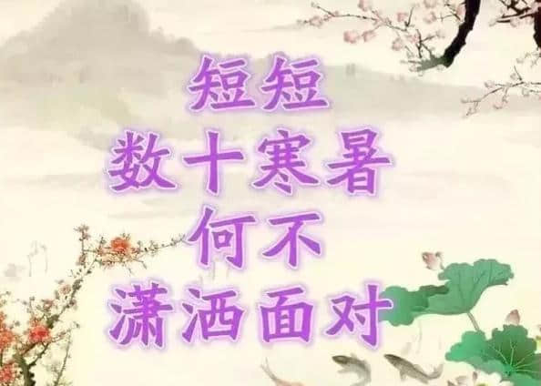 今天是正月十七，长寿日，收到祝福愿你健康长寿乐无忧