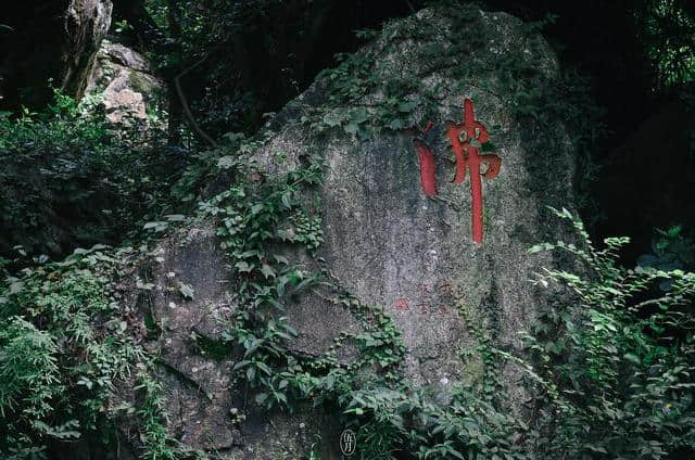 问道修佛又入世，一首《听筝》美人入怀，却以音乐度过余生