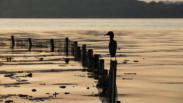 杭州西湖