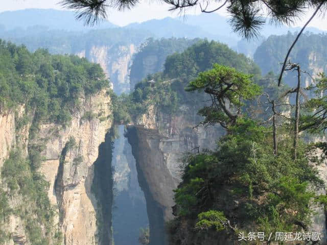 七律：武夷山九曲溪