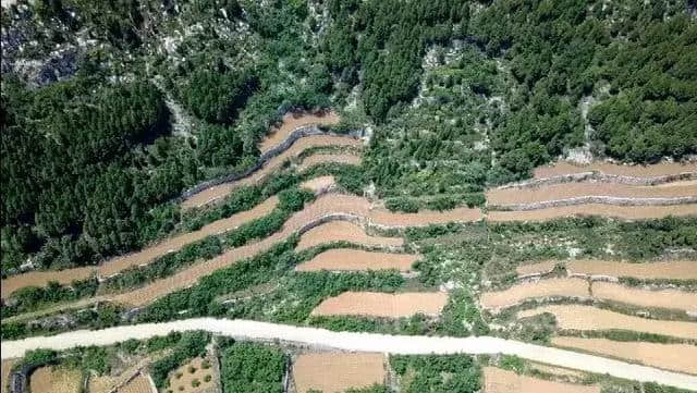 周末去哪玩丨登顶云翠山天柱峰，赏山东最美梯田