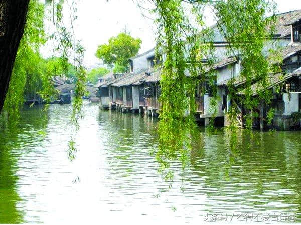 每日一句古诗名句——“正是江南好风景，落花时节又逢君”