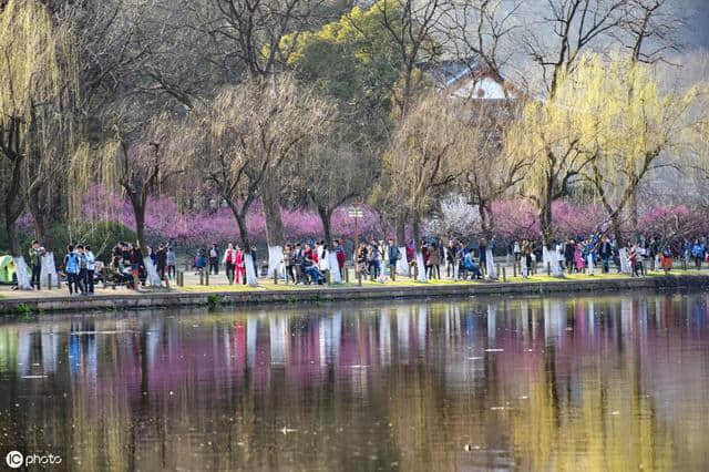 杭州西湖孤山踏足寻古，体味隐士林逋的诗意人生