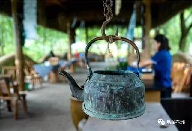 这个夏天，来小鱼洞“兜”最凉的风，看最浪漫的紫色花海