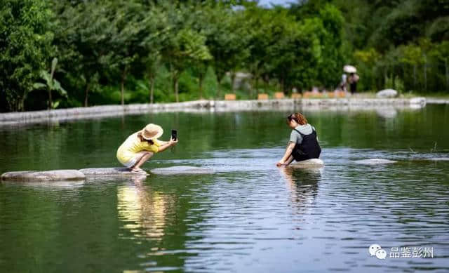 这个夏天，来小鱼洞“兜”最凉的风，看最浪漫的紫色花海