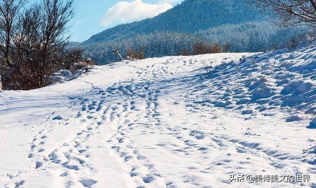 高适“莫愁前路无知己”其实有两首，第二首写于半年后，相当打脸