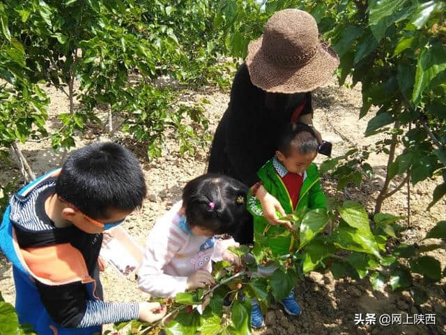 陕西蒲城县：陌上桑循环农业基地五一假期一道美丽的风景线