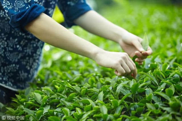 今日雨水丨好雨知时节，当春乃发生