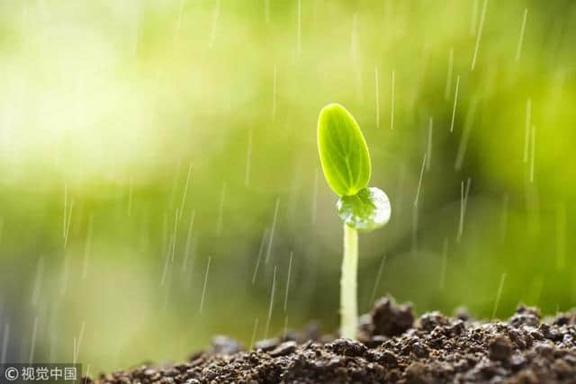 今日雨水丨好雨知时节，当春乃发生