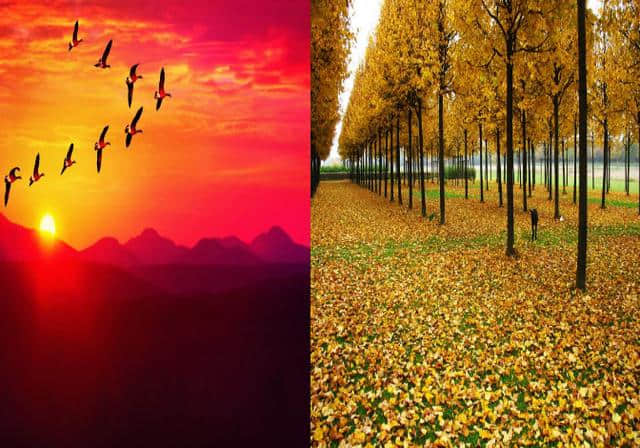 关于秋天的绝美诗词，只服这18首！最后一首与众不同