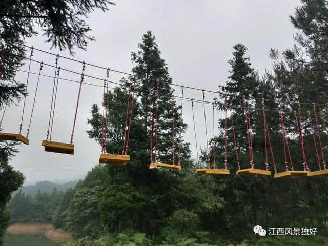 好消息！天柱峰景区又免门票啦！还有套票免费送~