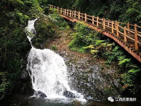 好消息！天柱峰景区又免门票啦！还有套票免费送~