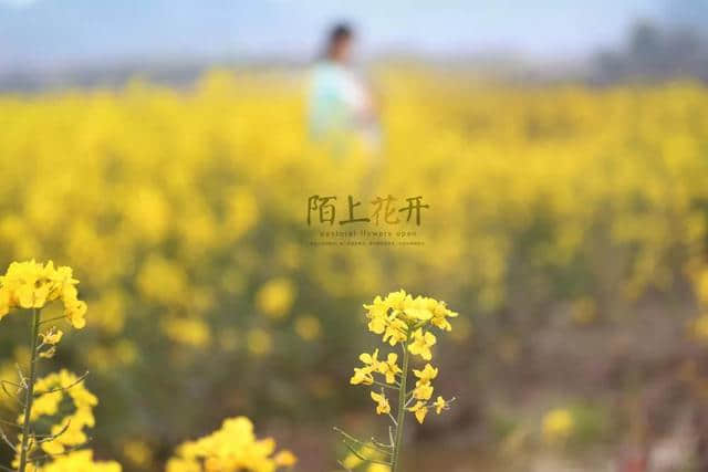 陌上花，相思扣