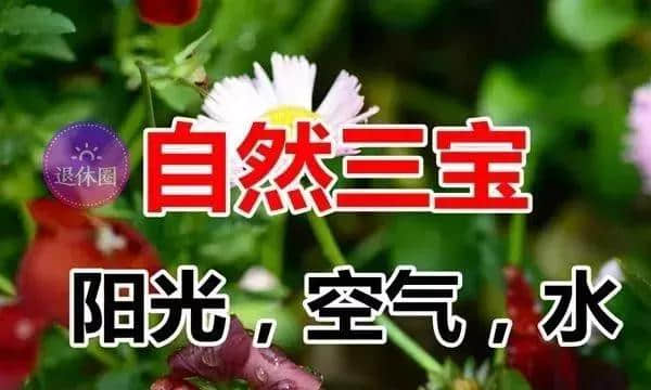 正月十九送你三件宝，愿你健康快乐直到老！