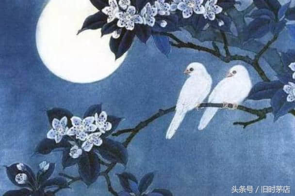 诗词里的夜色〡夏季卷：辛弃疾，明月别枝惊鹊，清风半夜鸣蝉