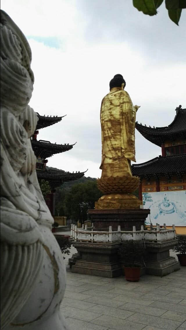 温州磐石卫-真如寺