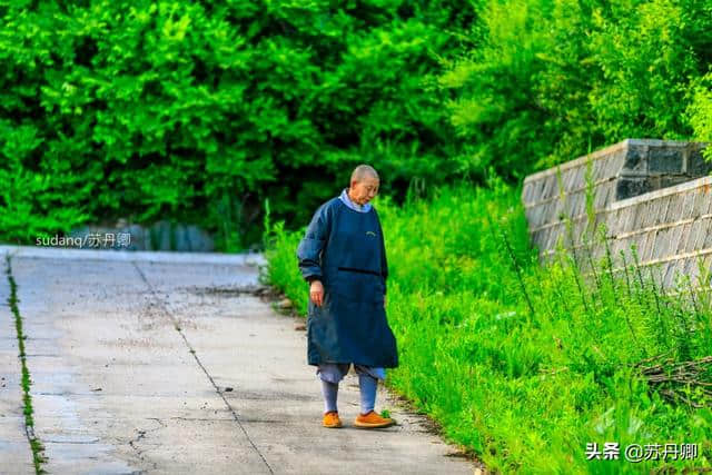 东北正觉寺：出家人种菜给游客吃，不收取费用，只求不浪费