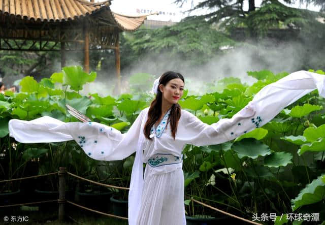 明月别枝惊鹊，清风半夜鸣蝉 炎炎夏日，在唐诗宋词寻找一丝清凉