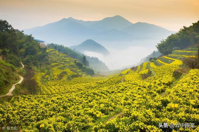 他归隐山林后，以写诗为乐，被后人称作“中国第一位田园诗人”