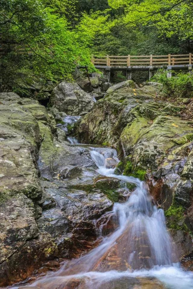 【免票三天】助力旅发大会，明月山、天柱峰、万载古城三天免票了！