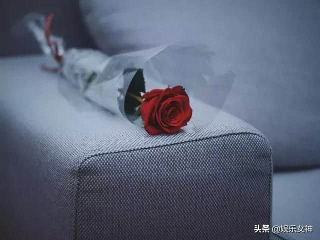 正月十一早上好温馨祝福语，清晨早上好鲜花祝福图片