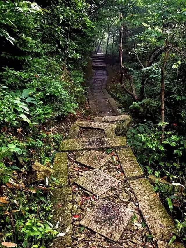 江西有座云居山，山上有座真如禅寺