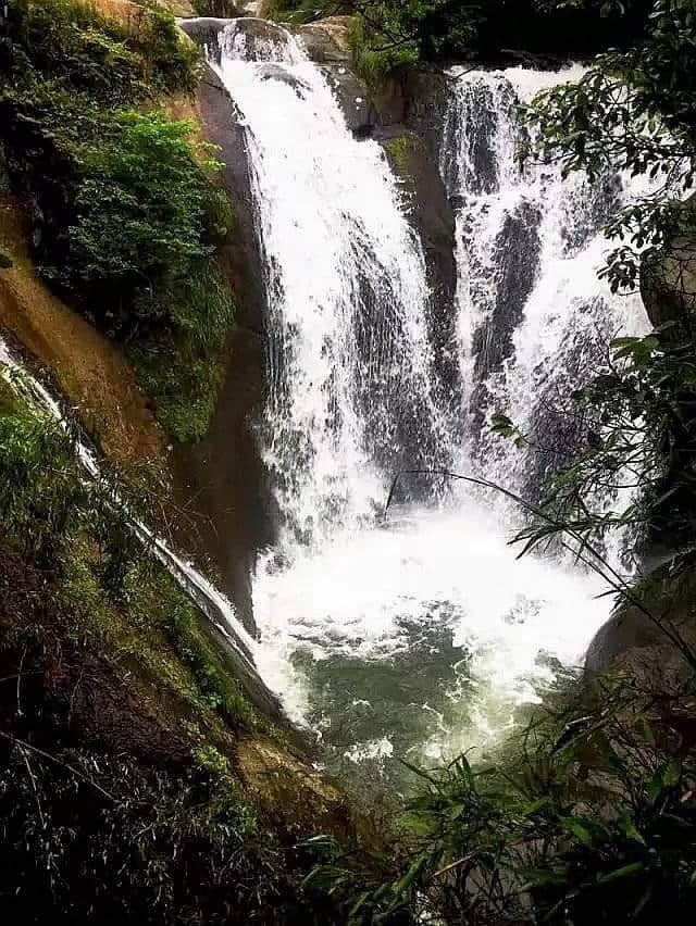 江西有座云居山，山上有座真如禅寺