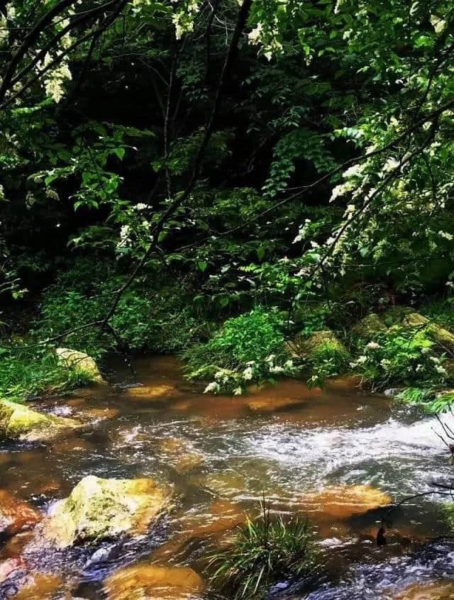 江西有座云居山，山上有座真如禅寺