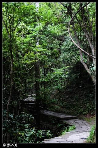 险峻虎啸岩 壮观天游峰——福建武夷游之山篇